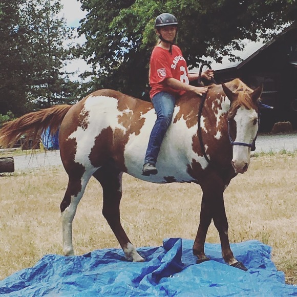 Meet your Posher, Lauren - Picture 1 of 1